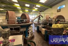 اللجان الإقليمية تكثف مراقبة زيت الزيتون في أسواق أقاليم شمال المغرب