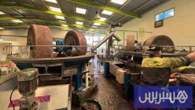 اللجان الإقليمية تكثف مراقبة زيت الزيتون في أسواق أقاليم شمال المغرب