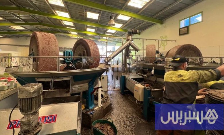 اللجان الإقليمية تكثف مراقبة زيت الزيتون في أسواق أقاليم شمال المغرب