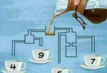 اللغز الذي حيّر الجميع: أي فنجان سيمتلئ أولًا؟ اكتشف الحقيقة!