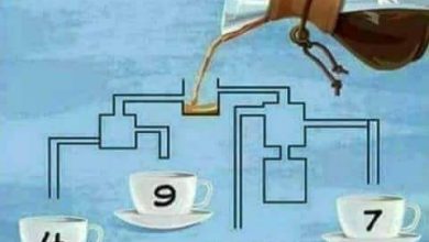 اللغز الذي حيّر الجميع: أي فنجان سيمتلئ أولًا؟ اكتشف الحقيقة!