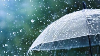 الهطولات المطرية ترفع أداء الموسم المطري...