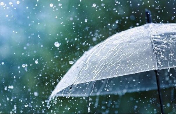 الهطولات المطرية ترفع أداء الموسم المطري...