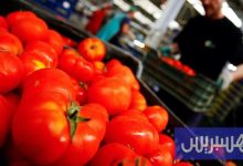 بريطانيا والمغرب يتفاوضان حول التعريفات الجمركية للمنتجات الزراعية