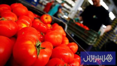 بريطانيا والمغرب يتفاوضان حول التعريفات الجمركية للمنتجات الزراعية