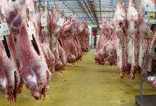 بعد ضبط 682 طنا.. الزراعة توضح ضوابط شراء اللحوم الحمراء: الأختام دليل الأمان