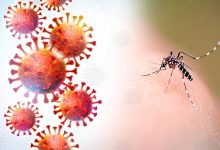 بنما تسجل 25 وفاة و15 ألف إصابة بـ"حمى الضنك" خلال العام الجاري