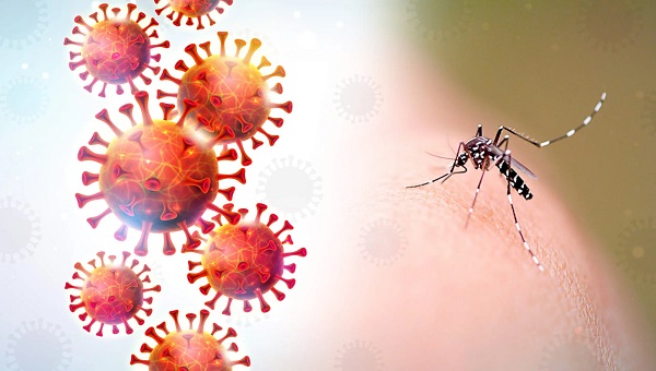 بنما تسجل 25 وفاة و15 ألف إصابة بـ"حمى الضنك" خلال العام الجاري