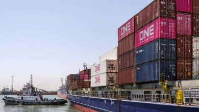 تداول 5292 شاحنة للبضائع والحاويات بميناء دمياط