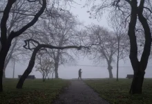 تفاصيل حالة الطقس في الأردن السبت...