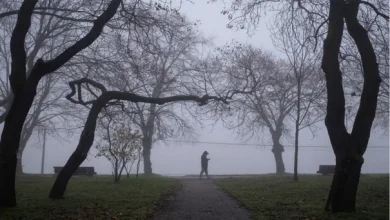 تفاصيل حالة الطقس في الأردن السبت...