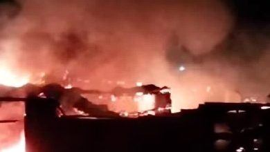 حريق مزرعة دواجن بالفيوم ونفوق 5 آلاف كتكوت دون إصابات بشرية