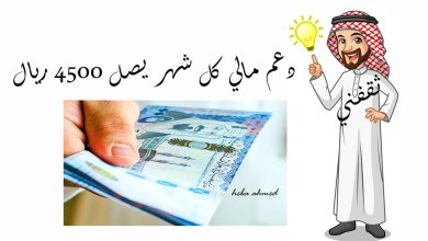 دعم مالي كل شهر يصل 4500 ريال.. تلك الفئات المستحقة وشروط التسجيل به