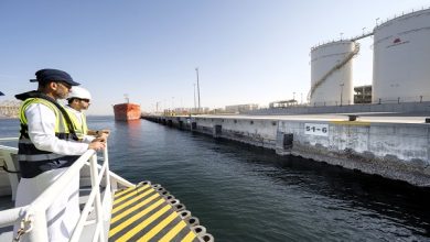 "دي بي ورلد" تستكمل أولى مراحل مشروع الجدران البحرية الحيّة في ميناء جبل علي بتركيب 1000 لوح