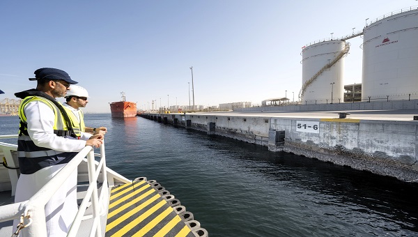 "دي بي ورلد" تستكمل أولى مراحل مشروع الجدران البحرية الحيّة في ميناء جبل علي بتركيب 1000 لوح