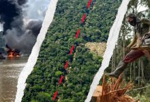 رئة العالم في قبضة "كارتيلات" الجريمة.. مثلث الموت ينهش غابات الأمازون