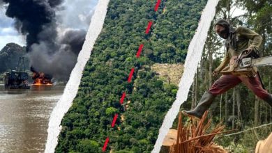 رئة العالم في قبضة "كارتيلات" الجريمة.. مثلث الموت ينهش غابات الأمازون