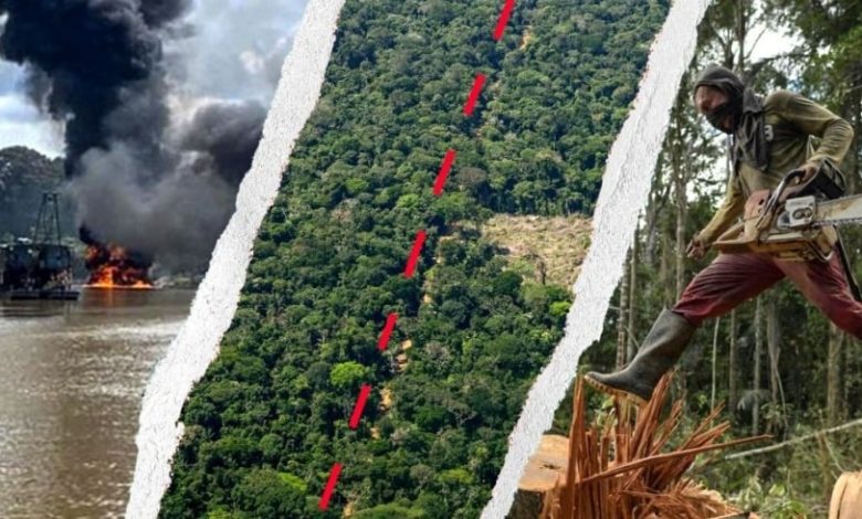 رئة العالم في قبضة "كارتيلات" الجريمة.. مثلث الموت ينهش غابات الأمازون