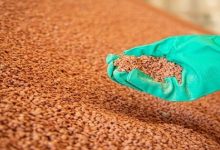 رئيس إدارة المديريات الزراعية: صرف الأسمدة سيضم 6 محافظات بموسم الصيف المقبل