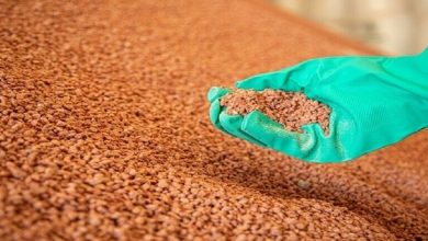 رئيس إدارة المديريات الزراعية: صرف الأسمدة سيضم 6 محافظات بموسم الصيف المقبل