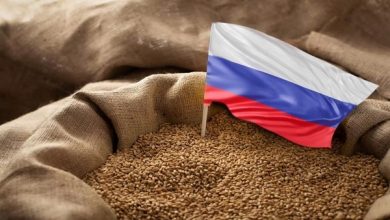روسيا تخفض رسوم تصدير القمح والذذرة والشعير إلى الصفر