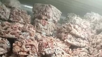 ضبط 45 طن دواجن ولحوم فاسدة ومخالفة في الجيزة خلال شهر