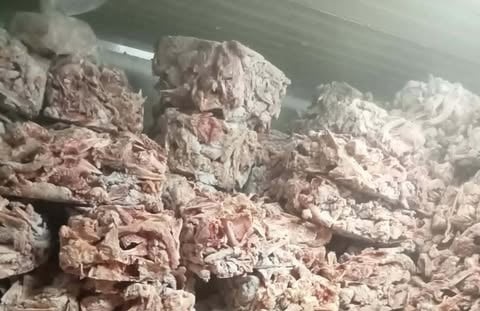 ضبط 45 طن دواجن ولحوم فاسدة ومخالفة في الجيزة خلال شهر