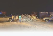 ضبط مقيمين من الجنسية البنجلاديشية مخالفين لنظام البيئة بالمنطقة الشرقية