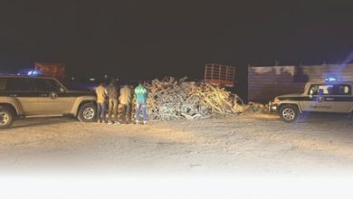 ضبط مقيمين من الجنسية البنجلاديشية مخالفين لنظام البيئة بالمنطقة الشرقية