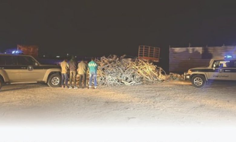 ضبط مقيمين من الجنسية البنجلاديشية مخالفين لنظام البيئة بالمنطقة الشرقية