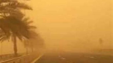 طقس الإثنين.. أمطار ورياح شديدة وعواصف ترابية وانعدام في الرؤية على عدة مناطق