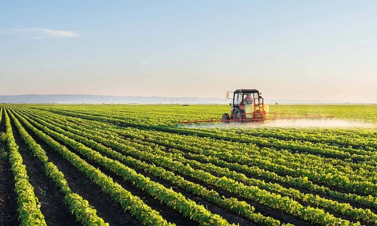 عبد الحكيم الواعر: نصف سكان الأرياف يعتمدون على الزراعة بشكل مباشر أو غير مباشر