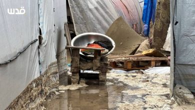 فلسطين في 2025: كارثة إنسانية وديموغرافية ونزيف اقتصادي