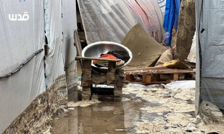 فلسطين في 2025: كارثة إنسانية وديموغرافية ونزيف اقتصادي