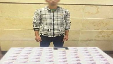 في دمنهور وأبو حمص.. ضبط شخصين يوزّعان رشاوى للتصويت لصالح مرشحين بانتخابات النواب