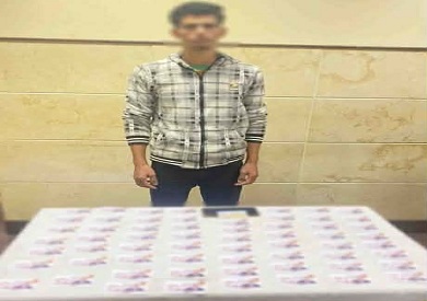 في دمنهور وأبو حمص.. ضبط شخصين يوزّعان رشاوى للتصويت لصالح مرشحين بانتخابات النواب