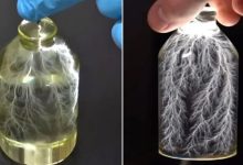 فيديو مذهل ليوتيوبر ينجح في التقاط "برق داخل زجاجة"