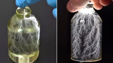 فيديو مذهل ليوتيوبر ينجح في التقاط "برق داخل زجاجة"