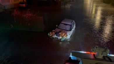 قوّة الإطفاء العام تعاملت مع عدة بلاغات خلال فترة هطول الأمطار في مناطق متفرقة بالبلاد