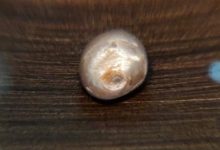 لؤلؤة أبوظبي.. كنز عمره 8000 سنة يجذب زوار متحف زايد الوطني