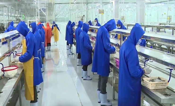 متحدث الوزراء: الدولة تعمل على توفير حوافز عديدة للقطاع الخاص