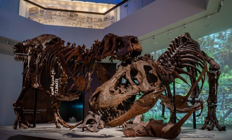 متحف التاريخ الطبيعي بأبوظبي يستقبل الزوار في المنطقة الثقافية بالسعديات