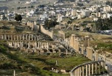 مديرية زراعة جرش تضبط أحد المعتدين على الأشجار الحرجية...