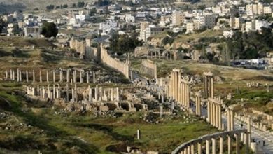 مديرية زراعة جرش تضبط أحد المعتدين على الأشجار الحرجية...