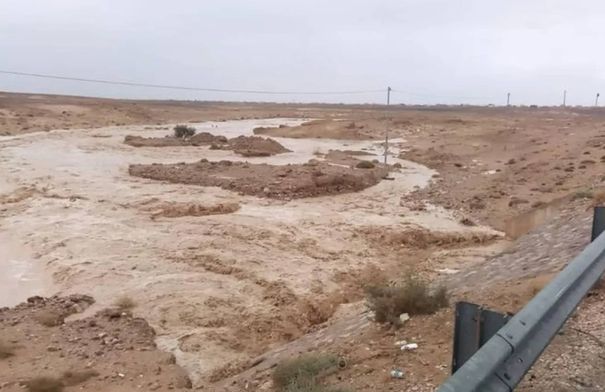 معان تتصدر كميات الأمطار بـ22.7 ملم...