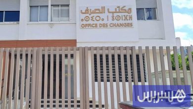 مكتب الصرف يتعقب شبكة منظمة للمتاجرة بـ"الدوفيز" والعملات المشفرة