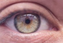 مواد نباتية طبيعية تساعد على حماية البصر...