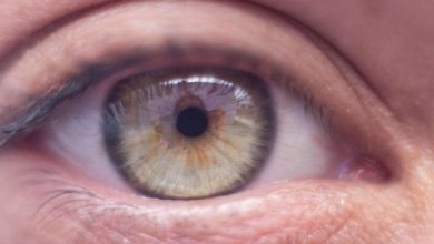 مواد نباتية طبيعية تساعد على حماية البصر...