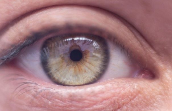 مواد نباتية طبيعية تساعد على حماية البصر...