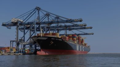 موانئ أبوظبي تعتزم إطلاق عرض شراء إلزامي لحصة في شركة الإسكندرية لتداول الحاويات والبضائع المصرية